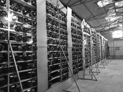A visual representation of a modern mining farm showcasing numerous mining rigs