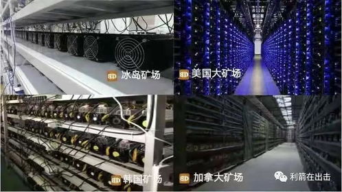 Kaspa Mining Rig