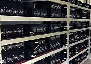An overview of a modern mining rig setup in a hosted farm, highlighting the efficiency and potential earnings from cryptocurrency mining