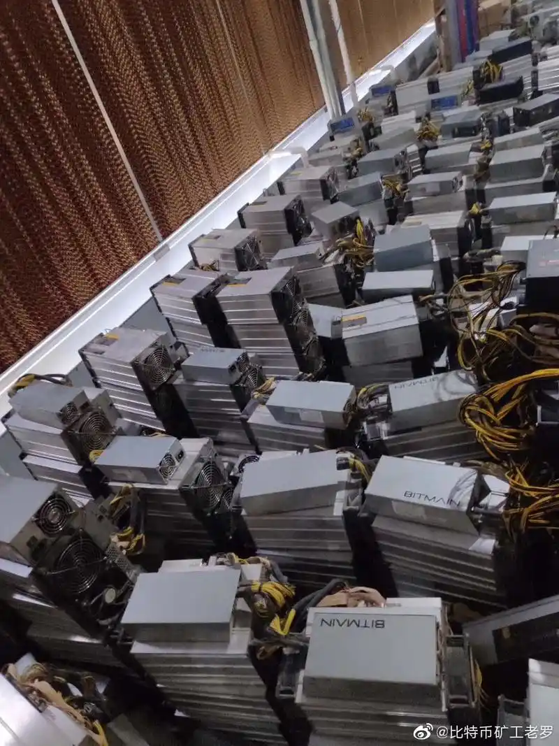 An assembled mining rig with multiple GPUs, illustrating the setup's versatility for Ethereum and Dogecoin mining